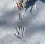 すみっこの画像