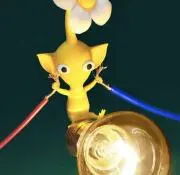 Sotaの画像