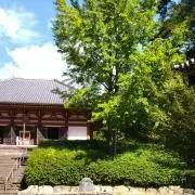 まあやの画像