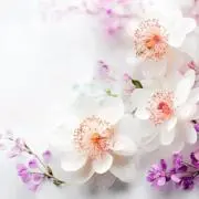 Kairi✨即購入◎の画像