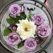 ♪ かおるんるん ♪の画像