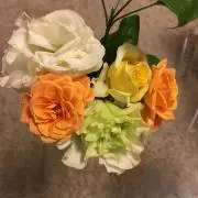 mamamaの画像