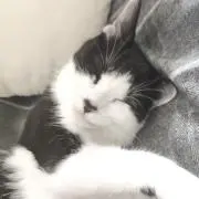 ガジェリン