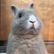 mの画像
