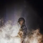 ＄の画像