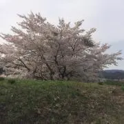 Oxygenの画像