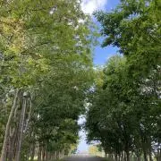 m.kaの画像
