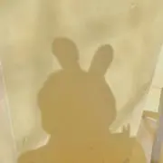 ぱっちょの画像