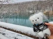 ゆい☆の画像