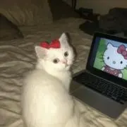 すす❤︎の画像
