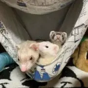 紘の画像