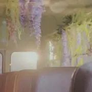 Miz 値下げ交渉◎の画像