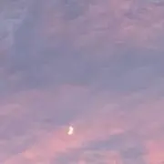 ariの画像