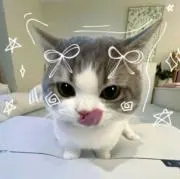୨୧ぽぽ୨୧の画像