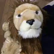 ごんの画像
