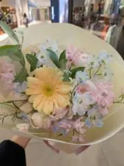 わたがし