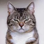 bitch !!の画像