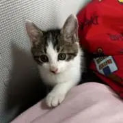 うぅにゃ✩.*˚プロフ必読の画像