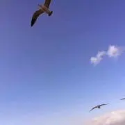 田中一