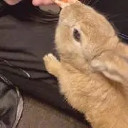 ❃