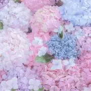 ゆか♡〜5月10日まで旅行中♡の画像