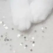 ichikaの画像