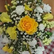 あいここ