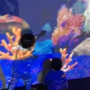 はるかいママの画像