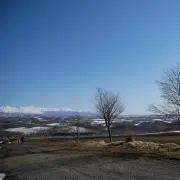 kokoの画像