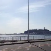 モコの画像