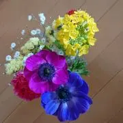 もち麩の画像