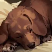 たまの画像