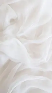 ざりがにの画像