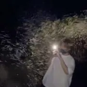 ゴマの画像