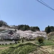 jijiの画像