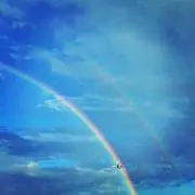シロミ