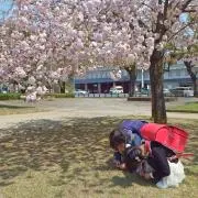 ゆか★全品一気処分予定プロフィール必須の画像