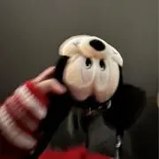 Kの画像