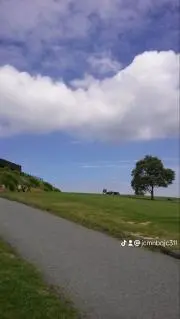 モーリーの画像