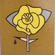 uapeの画像