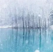 グリッドの画像