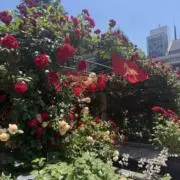 鮎喰響鬼の画像