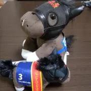 ジャンタルマンタの画像