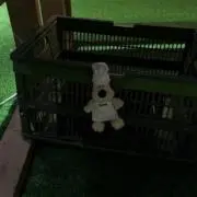 あこ