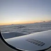 おちゃの画像