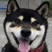 けんたろう