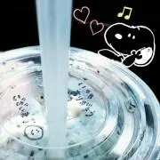 こずちゃん