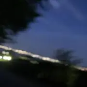とるちゃの画像
