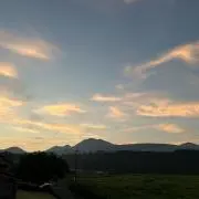 ゆの画像