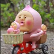 カピパロの画像